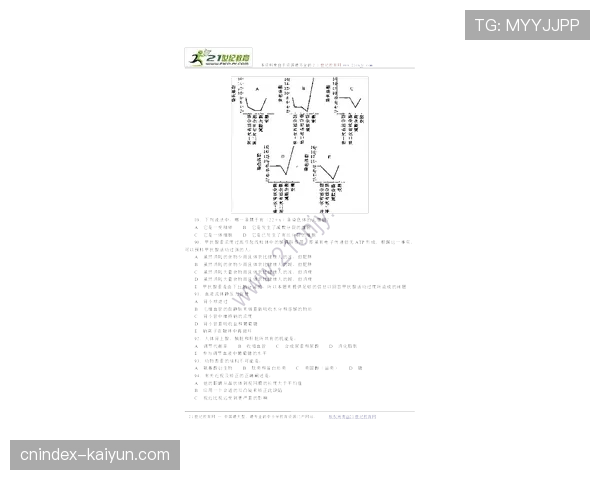艾伦争议防守选择背后的多重考量：竞技情境与风险控制的战术权衡